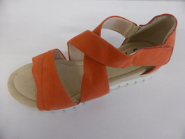 RD1804S-1.JPG