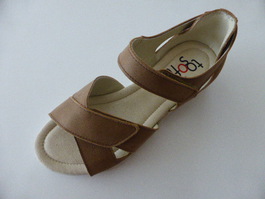 RD2569S camel-1.JPG