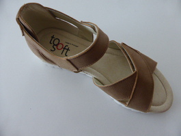 RD2569S camel-2.JPG