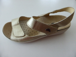 TN72067-platino-1.JPG