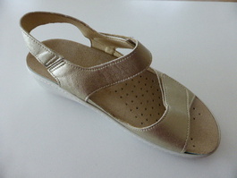 TN72067-platino-2.JPG